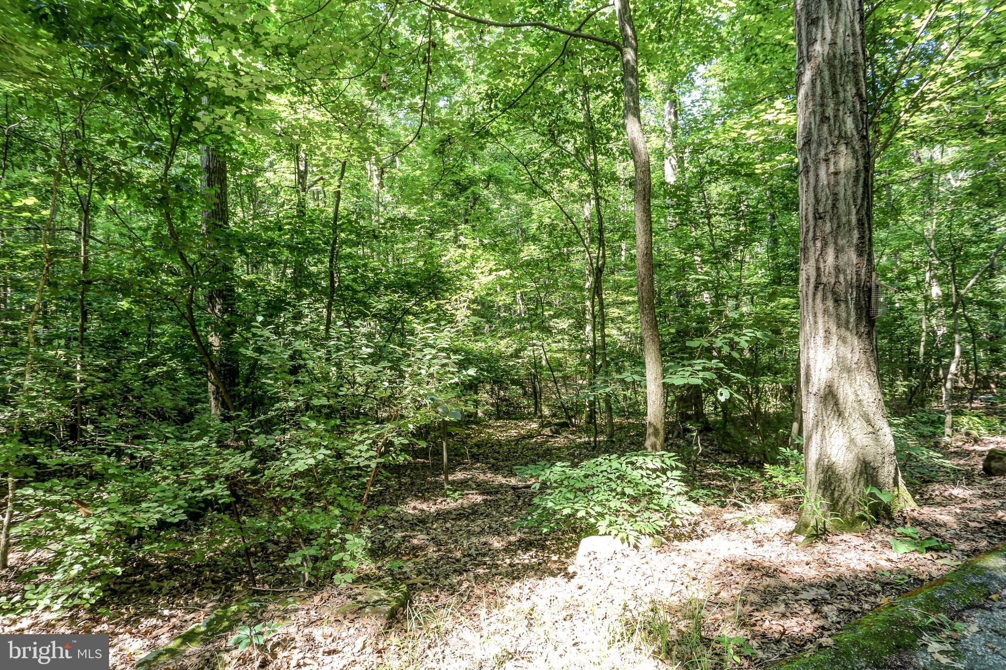 2441 Deep Hollow Road Dover, PA 17315 - Photo 26 of 27