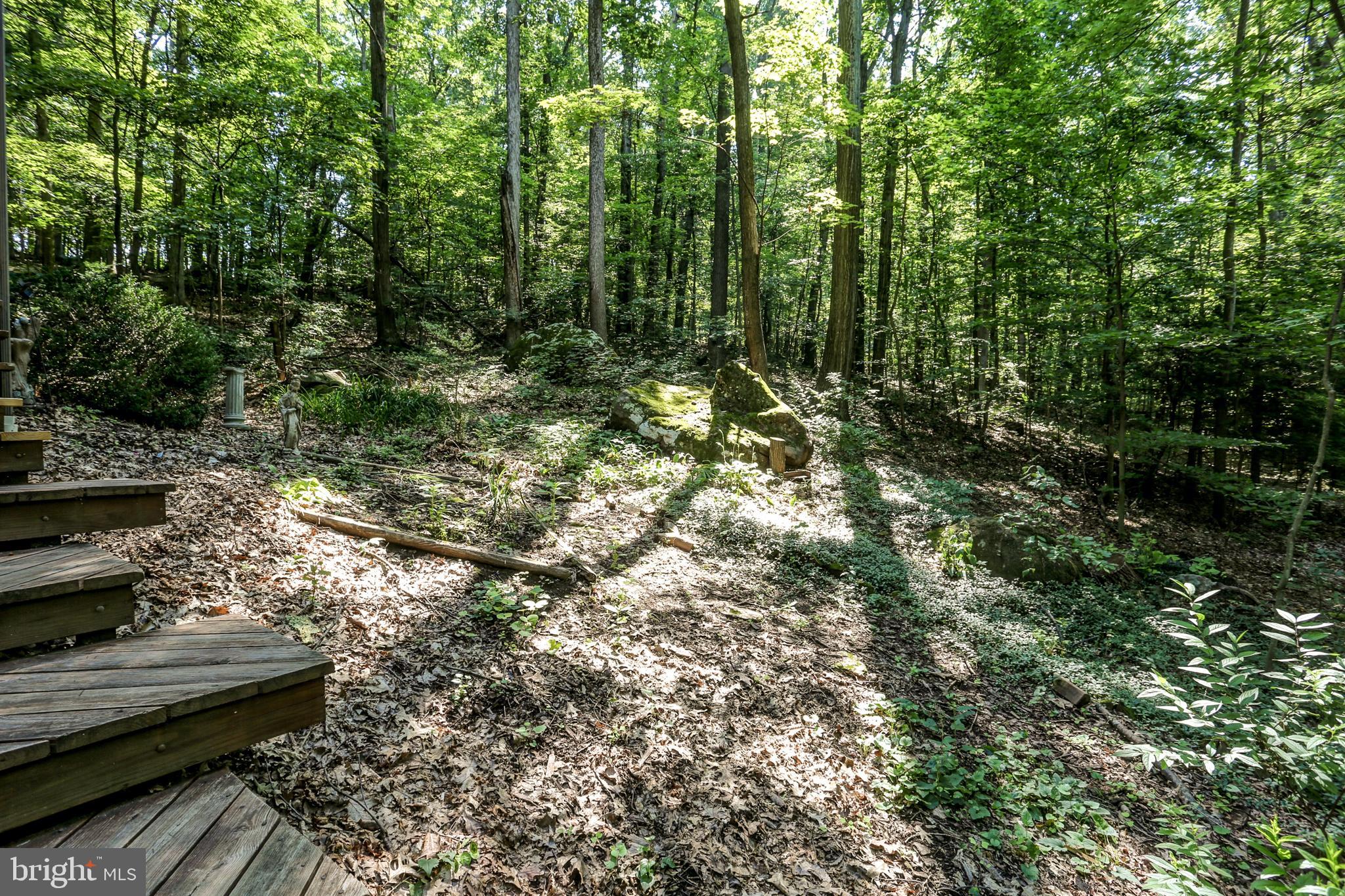 2441 Deep Hollow Road Dover, PA 17315 - Photo 4 of 27
