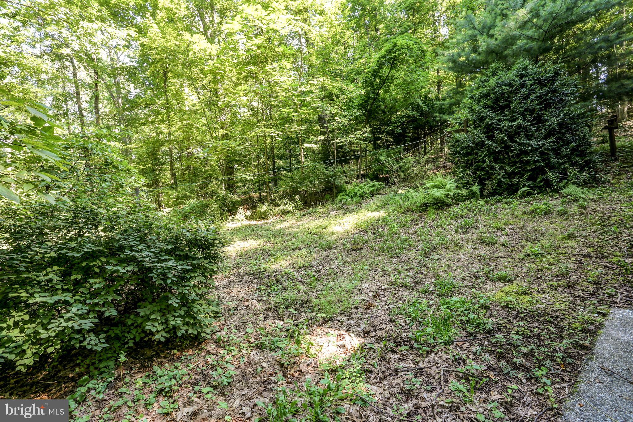2441 Deep Hollow Road Dover, PA 17315 - Photo 5 of 27