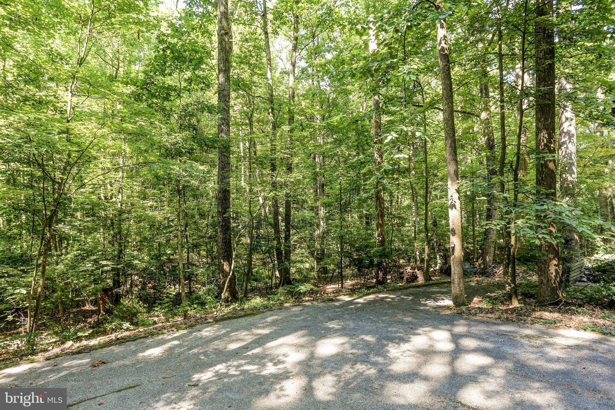 2441 Deep Hollow Road Dover, PA 17315 - Photo 6 of 27