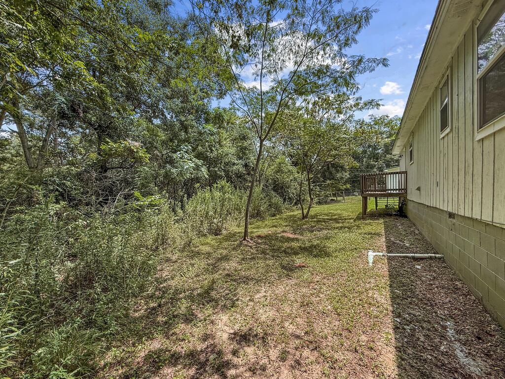 24 Old Mcrae Mill Road Clio, AL 36017 - Photo 6 of 35 Gallery Image 6