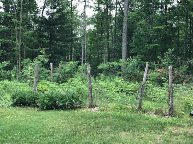 15570 River Road Brethren, MI 49619 - Photo 31 of 38 IMG_1187