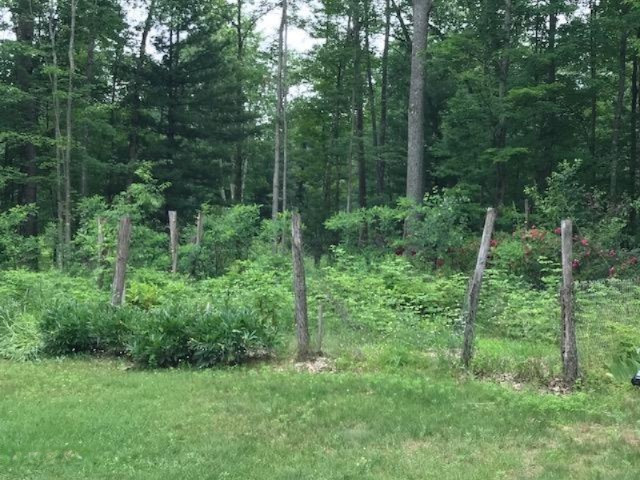 15570 River Road Brethren, MI 49619 - Photo 32 of 38 IMG_1188