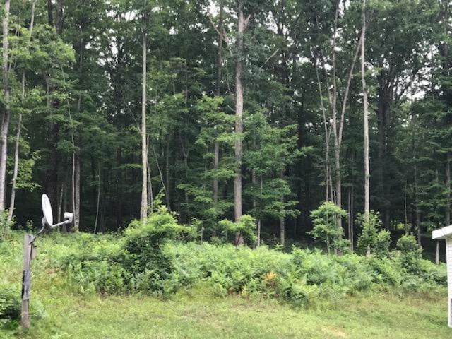 15570 River Road Brethren, MI 49619 - Photo 33 of 38 IMG_1189