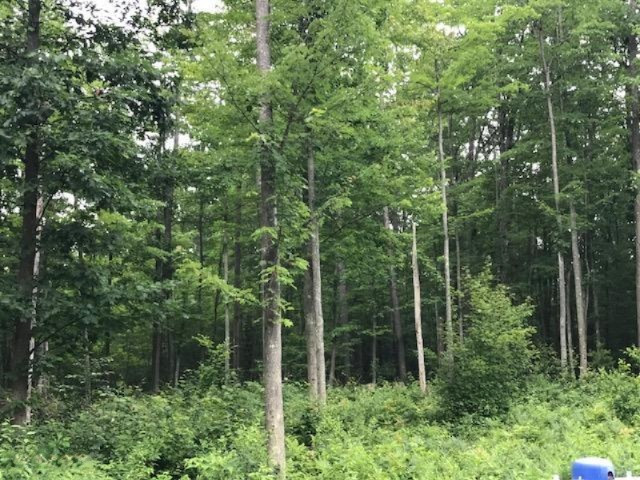 15570 River Road Brethren, MI 49619 - Photo 34 of 38 IMG_1190