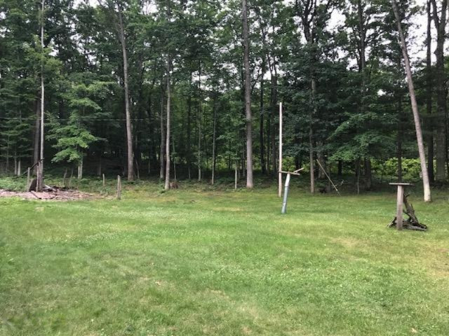 15570 River Road Brethren, MI 49619 - Photo 35 of 38 IMG_1194