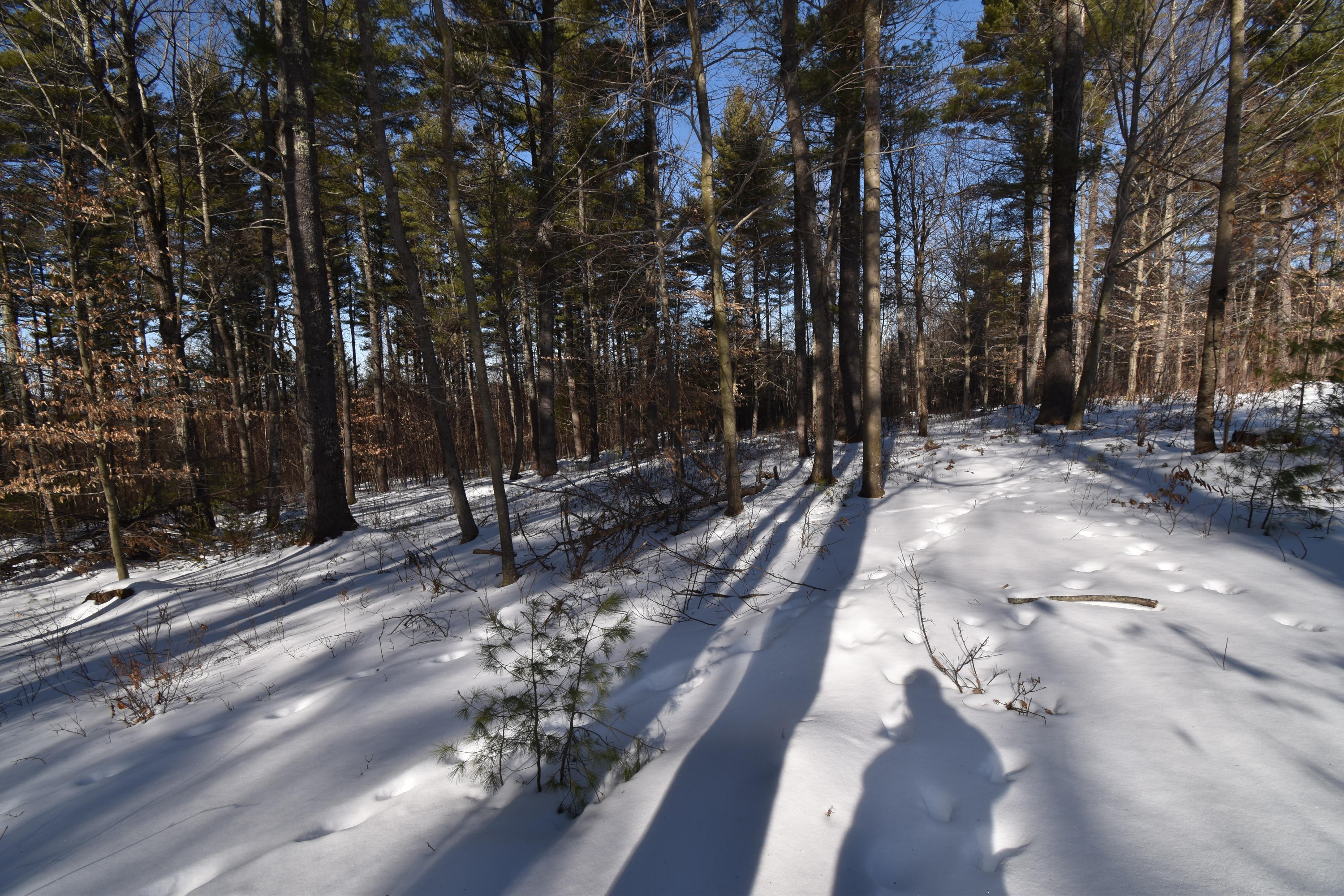 360 Watson Heights Road Kents Hill, ME 04349 - Photo 61 of 77 DSC_0312