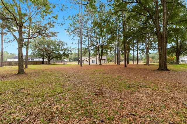 a view of road with trees
