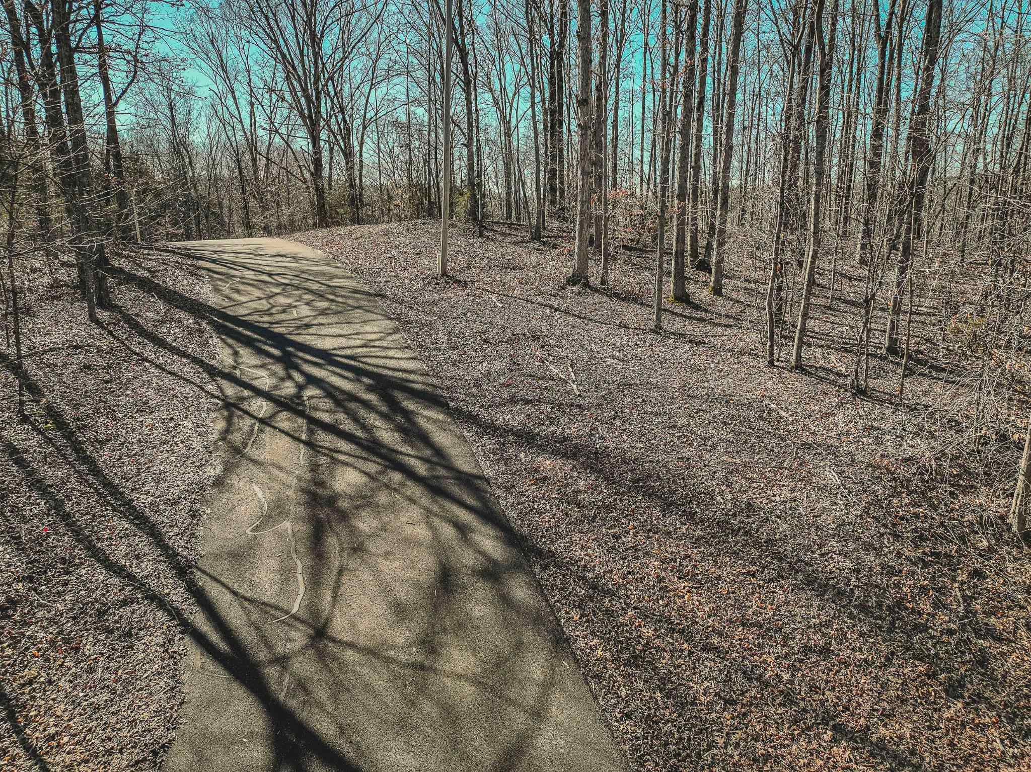 Lot 0425 Fawn Ridge Road Parsons, TN 38363 - Photo 2 of 21 a view of a backyard with trees