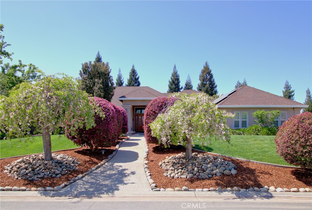 a view of a garden with plants and lake view