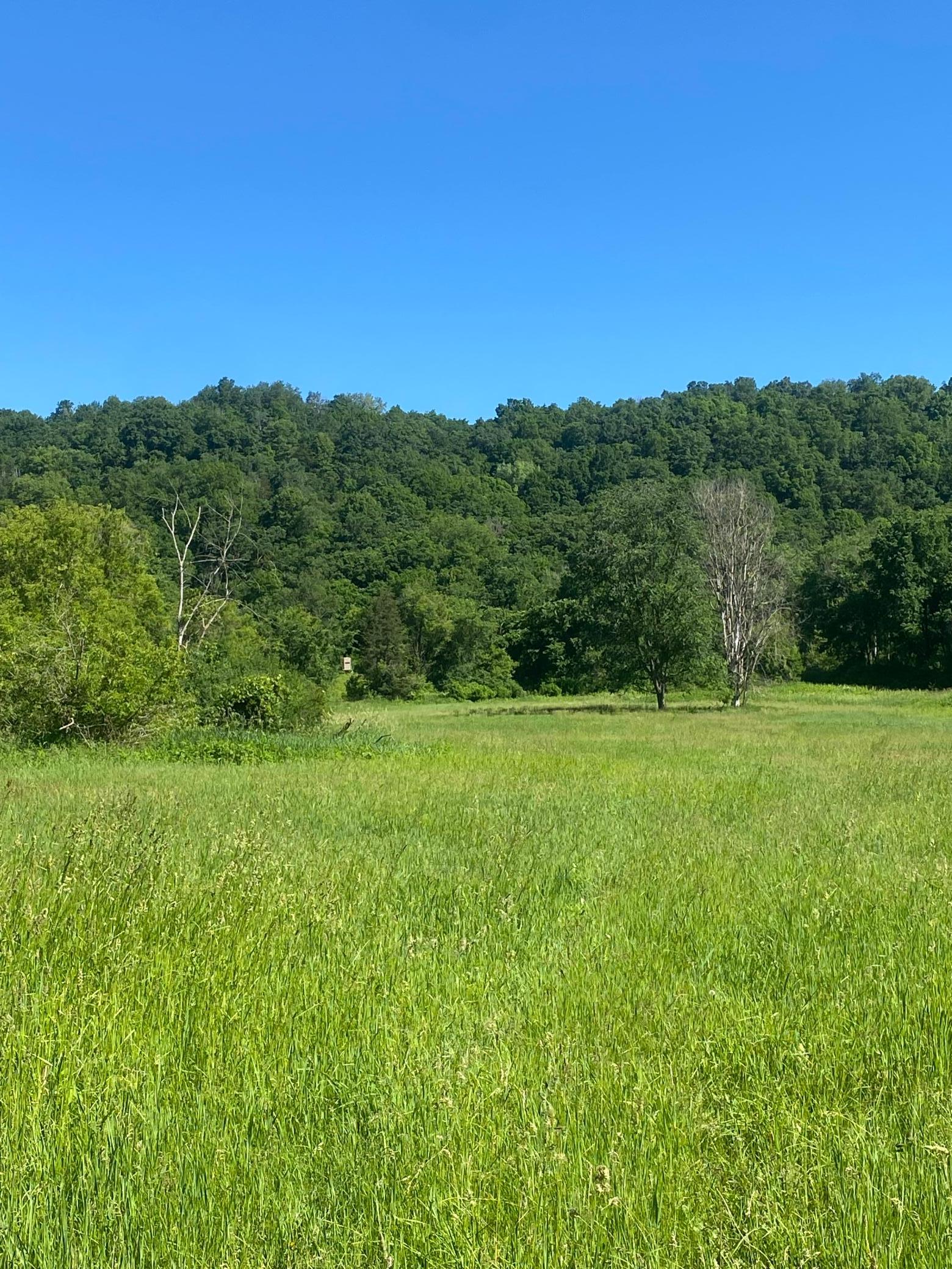 27333 Deep River Road Lanesboro, MN 55949 - Photo 11 of 90