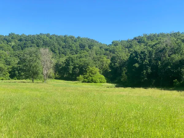 $9,990,000 | 27333 Deep River Road, Lanesboro, MN 55949