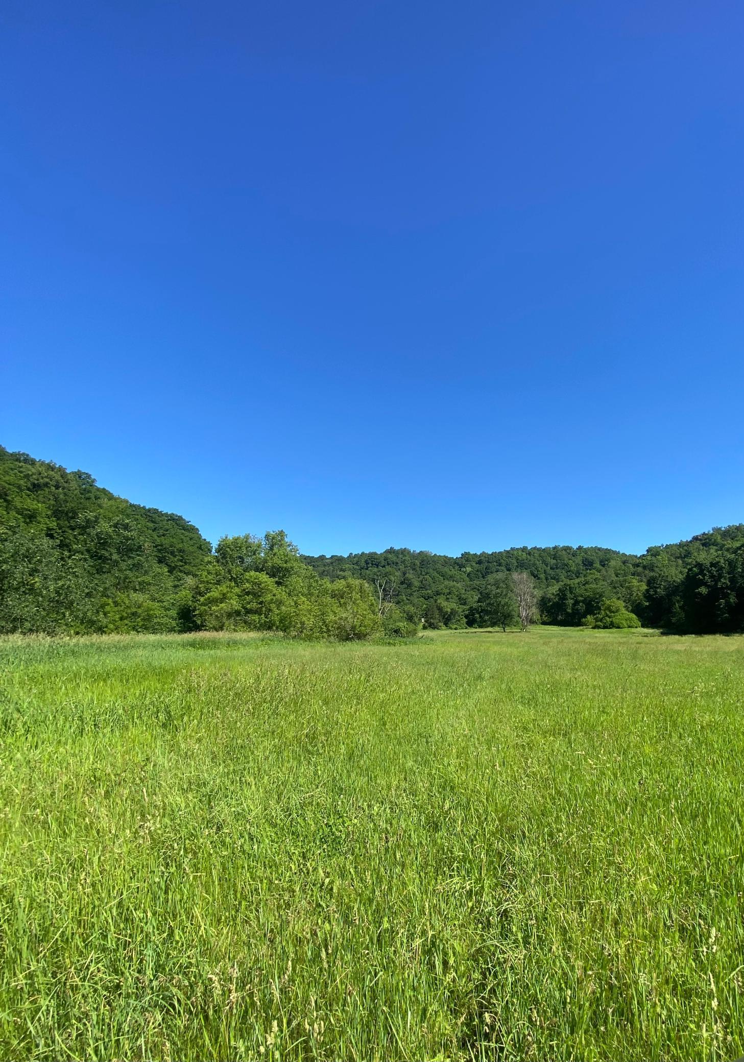 27333 Deep River Road Lanesboro, MN 55949 - Photo 12 of 90
