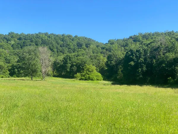 $9,990,000 | 27333 Deep River Road, Lanesboro, MN 55949