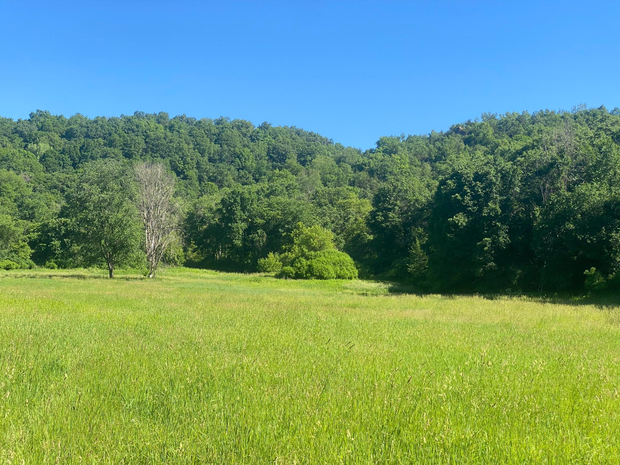 27333 Deep River Road Lanesboro, MN 55949 - Photo 13 of 90