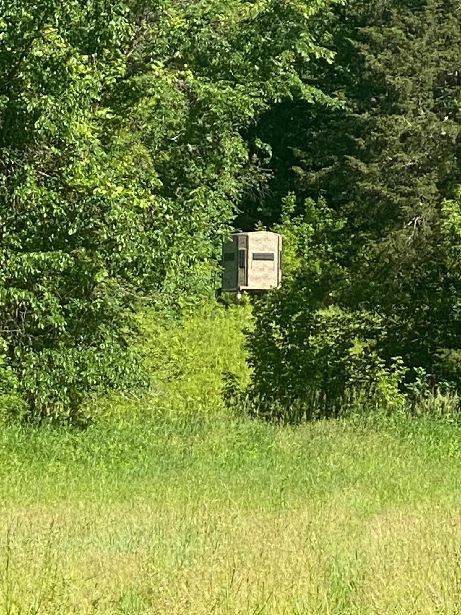 27333 Deep River Road Lanesboro, MN 55949 - Photo 13 of 71