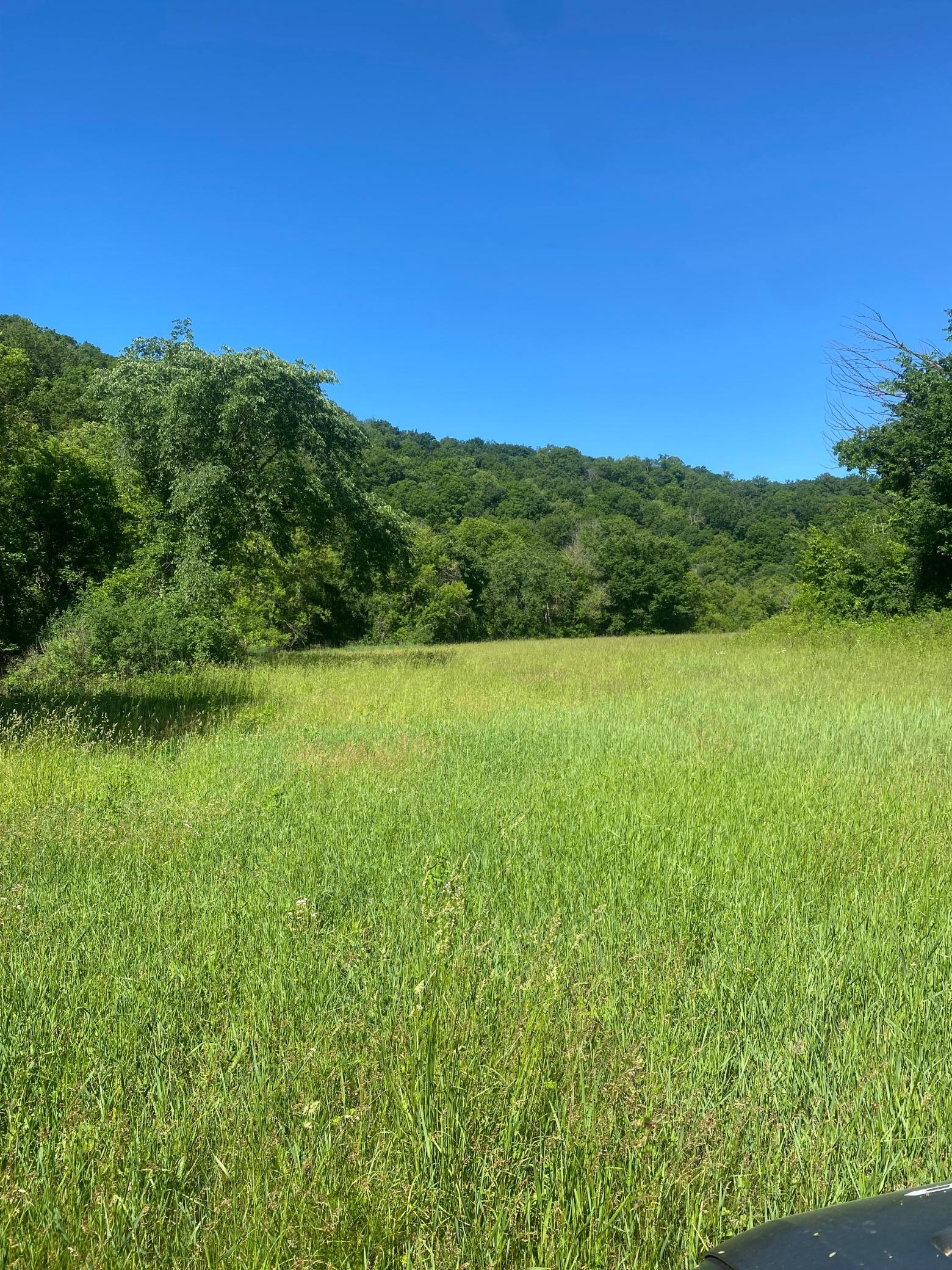 27333 Deep River Road Lanesboro, MN 55949 - Photo 17 of 90