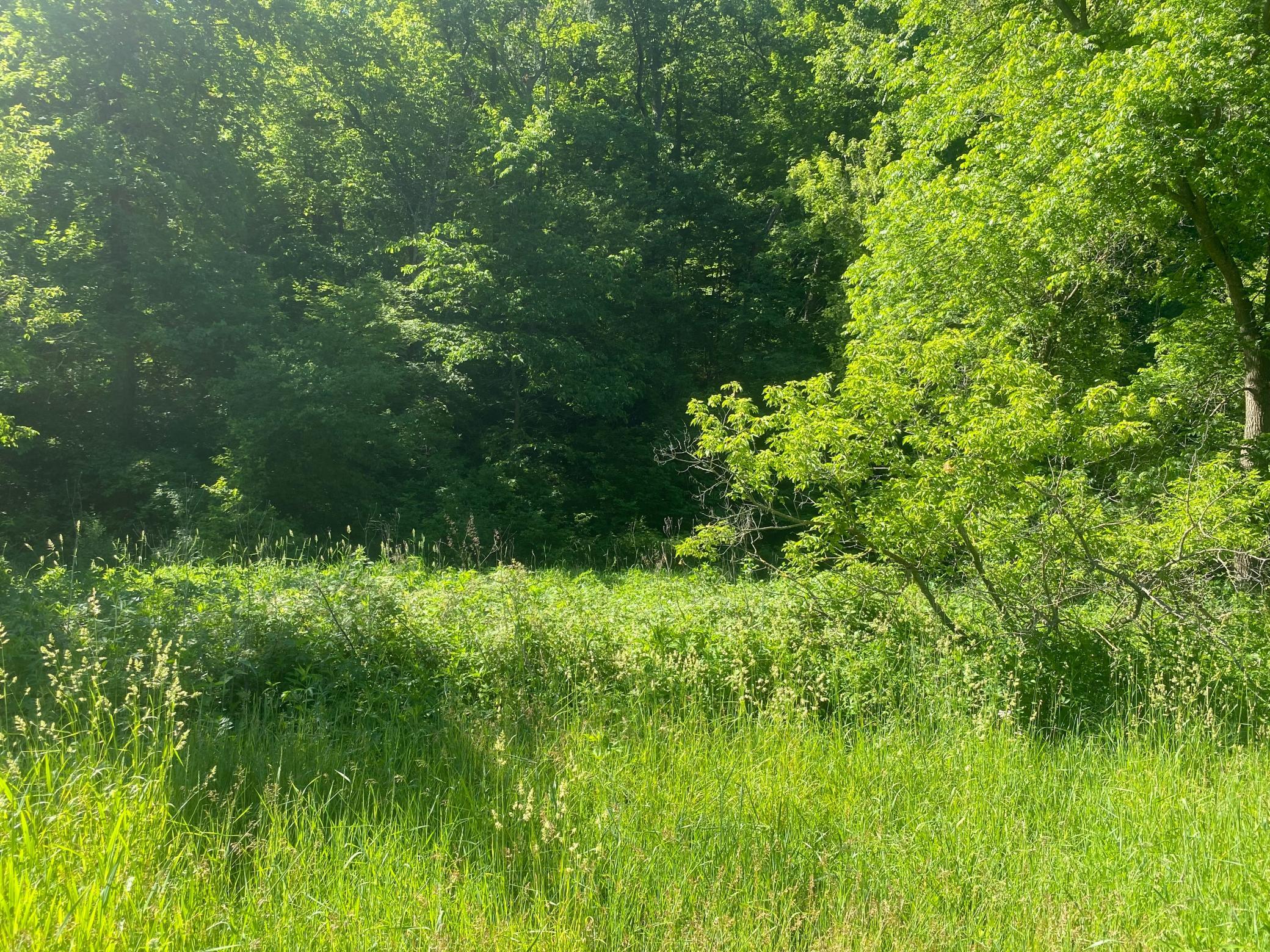 27333 Deep River Road Lanesboro, MN 55949 - Photo 18 of 90