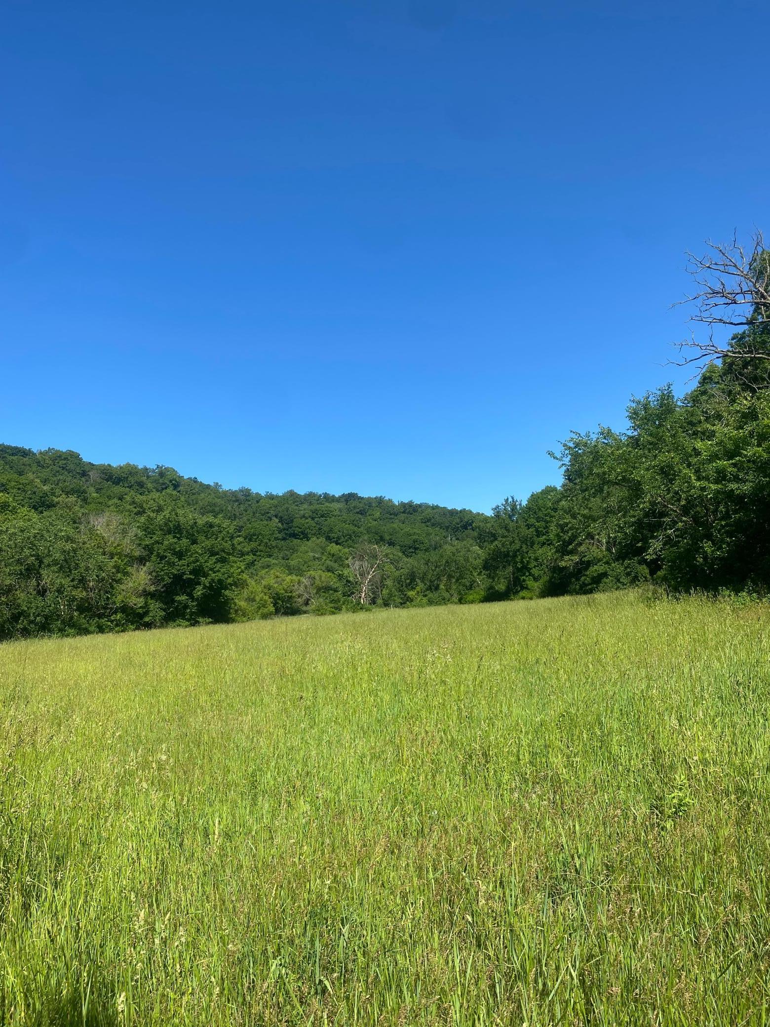 27333 Deep River Road Lanesboro, MN 55949 - Photo 19 of 71