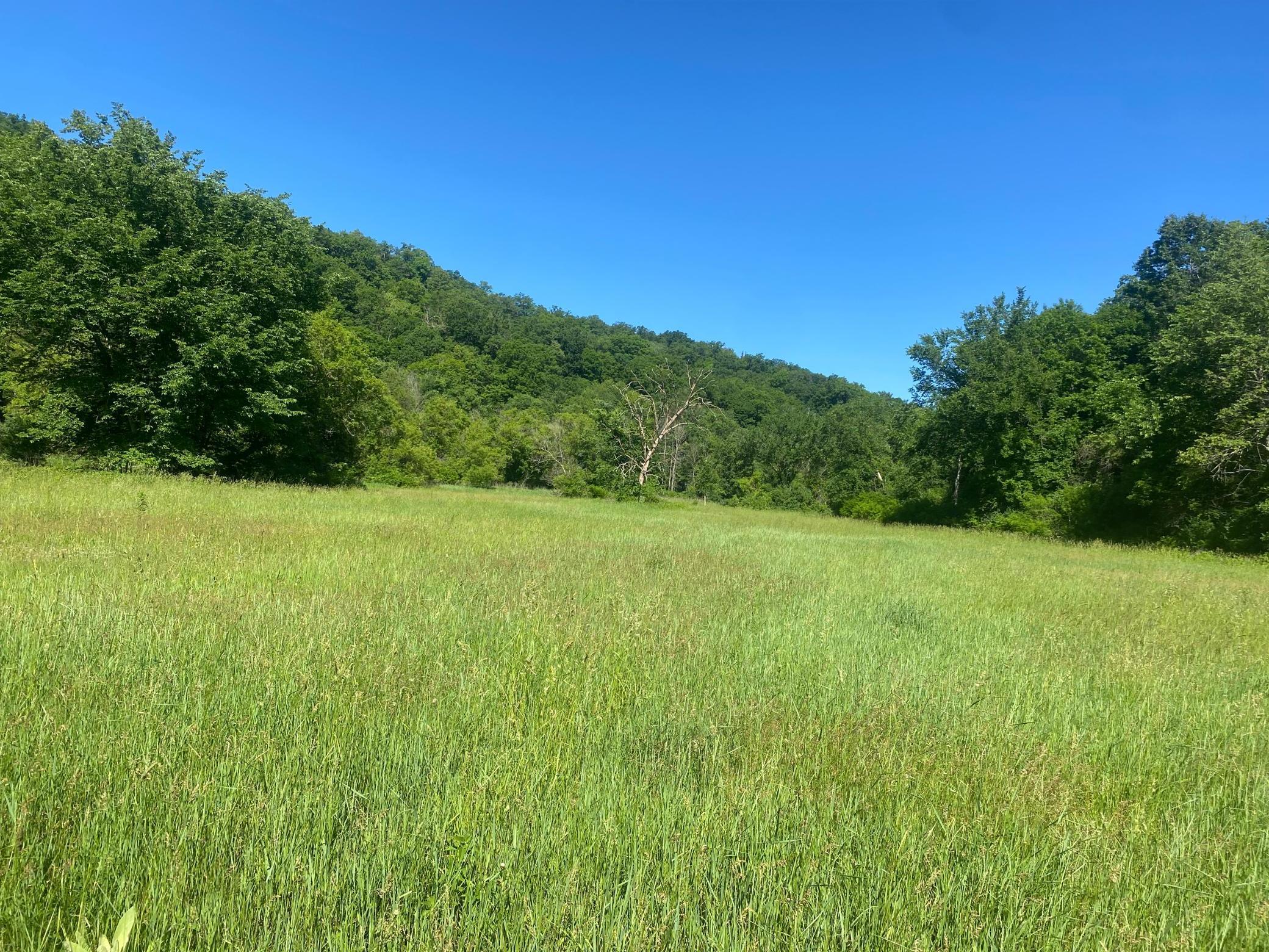 27333 Deep River Road Lanesboro, MN 55949 - Photo 20 of 71