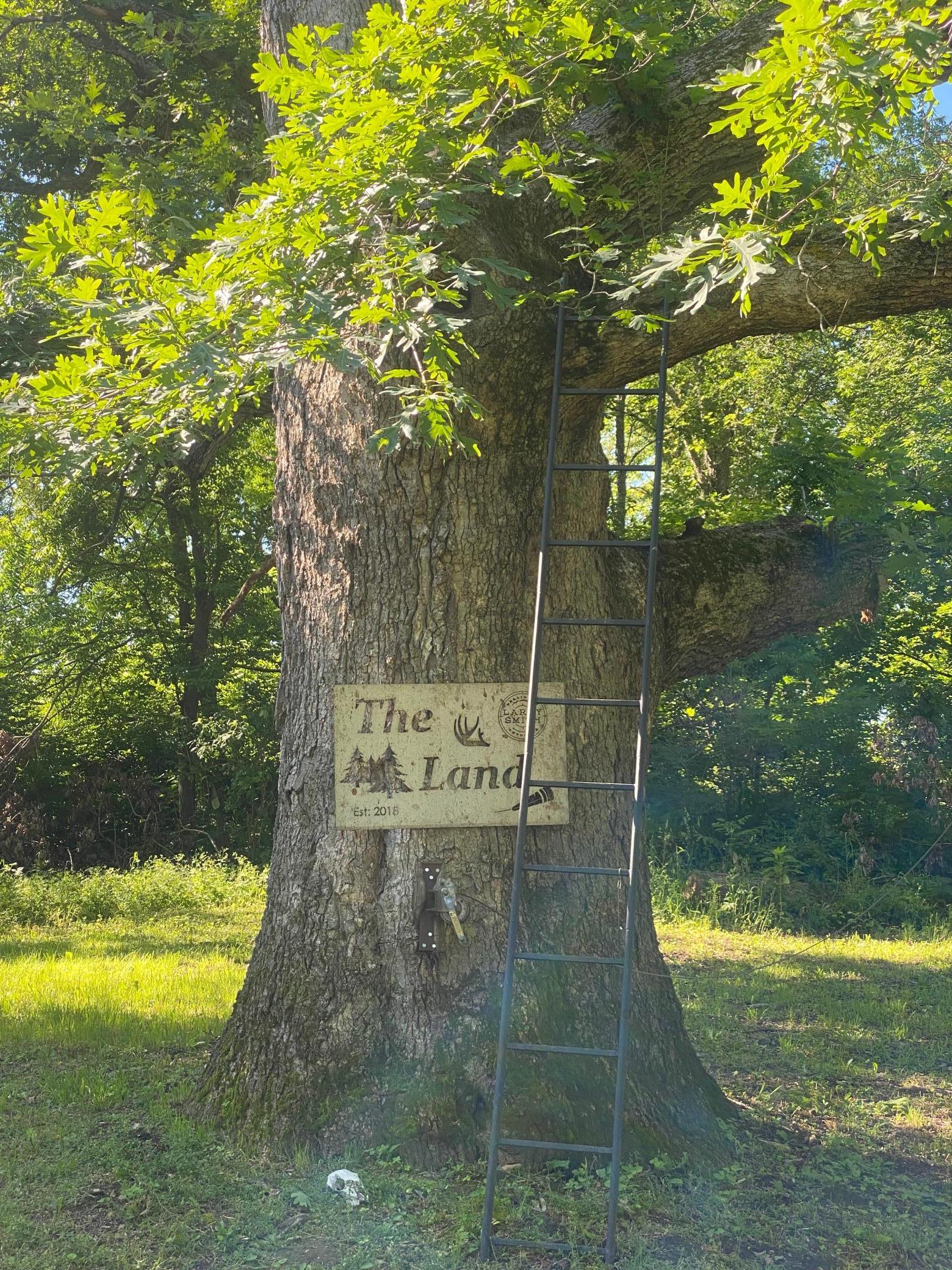 27333 Deep River Road Lanesboro, MN 55949 - Photo 2 of 71