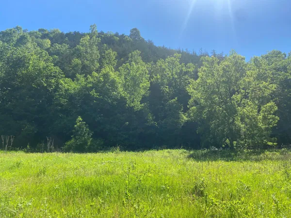 $9,990,000 | 27333 Deep River Road, Lanesboro, MN 55949