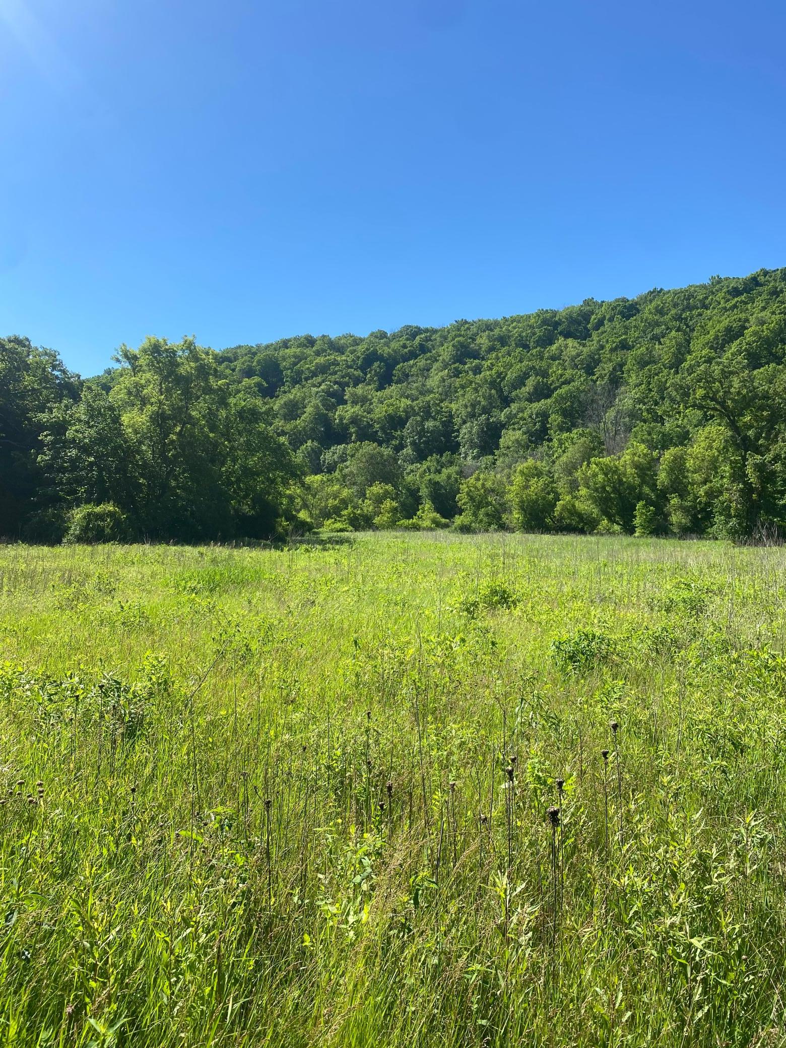 27333 Deep River Road Lanesboro, MN 55949 - Photo 22 of 90