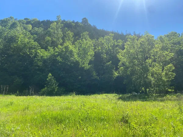 $9,990,000 | 27333 Deep River Road, Lanesboro, MN 55949