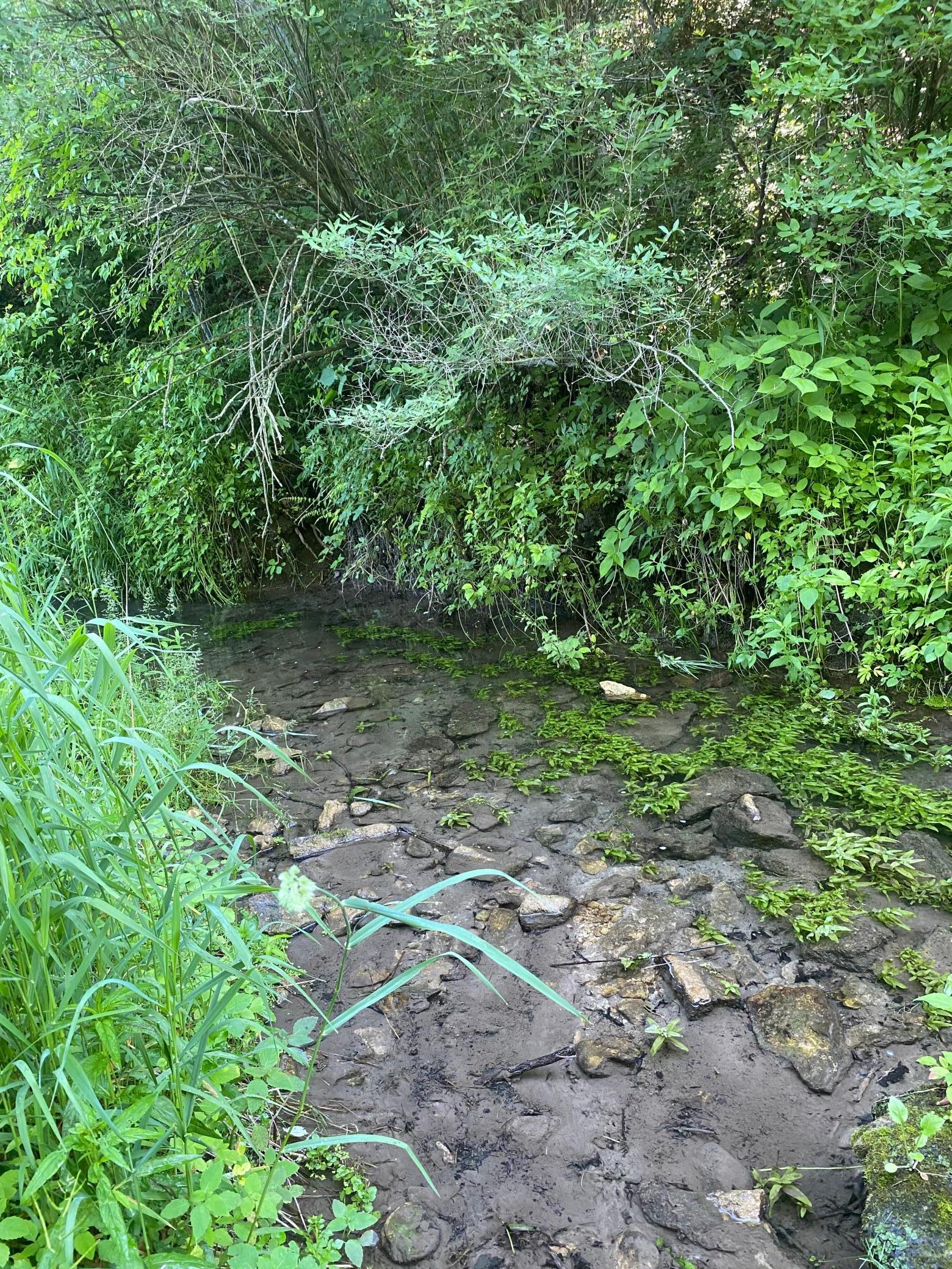 27333 Deep River Road Lanesboro, MN 55949 - Photo 23 of 71