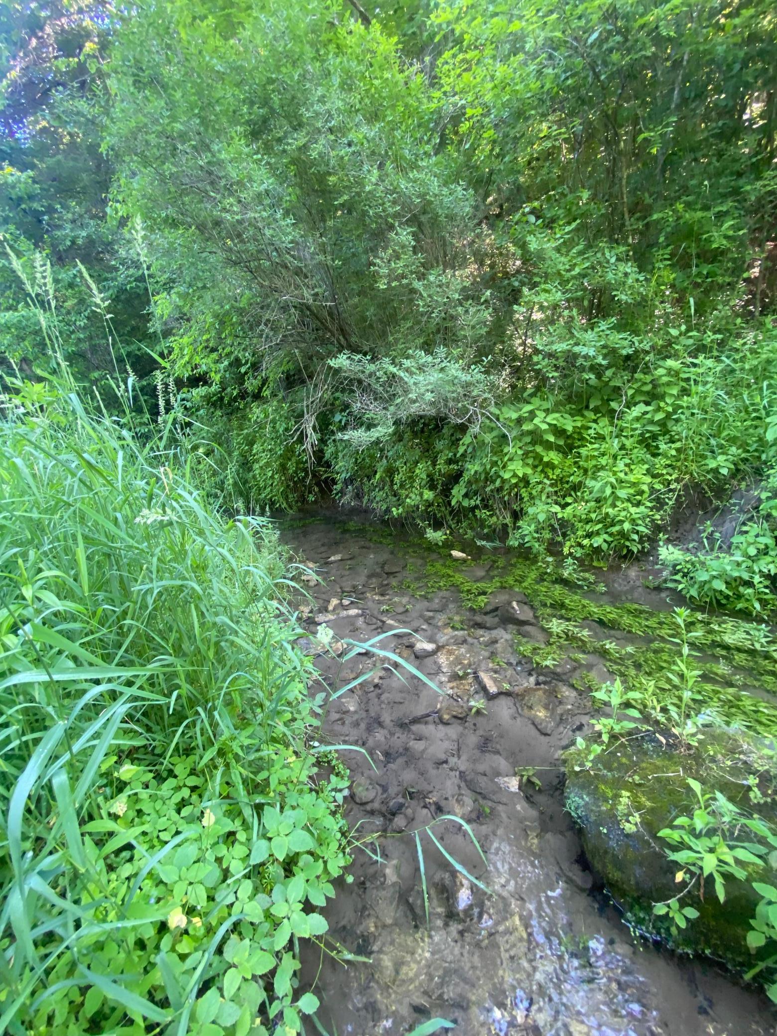 27333 Deep River Road Lanesboro, MN 55949 - Photo 24 of 71