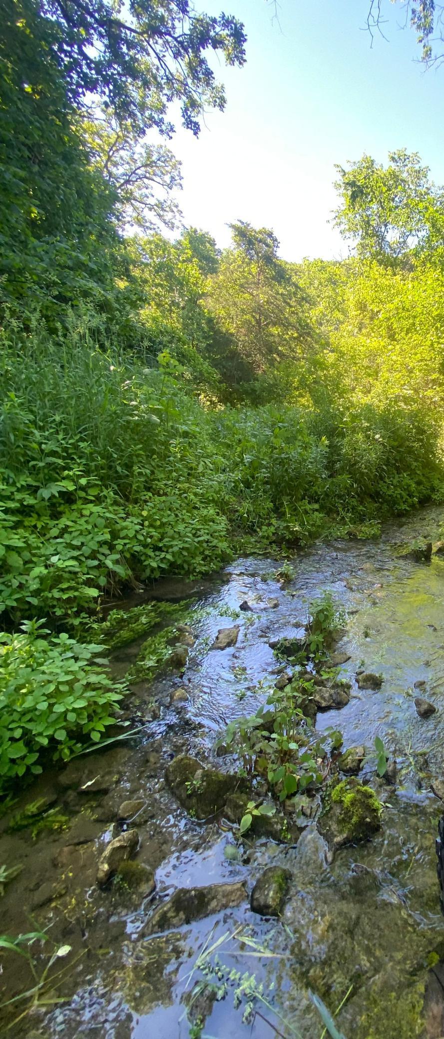 27333 Deep River Road Lanesboro, MN 55949 - Photo 25 of 71