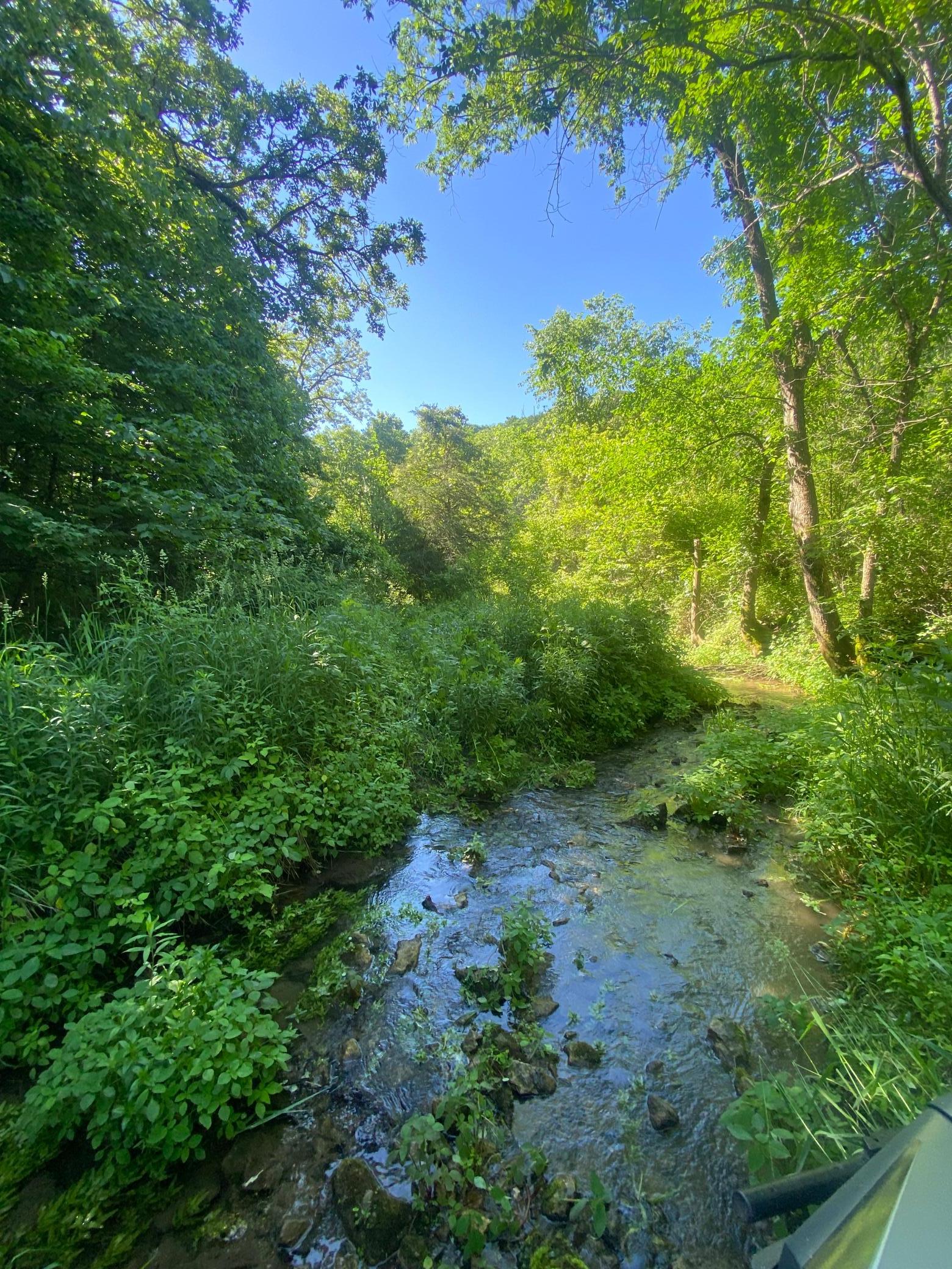 27333 Deep River Road Lanesboro, MN 55949 - Photo 27 of 90