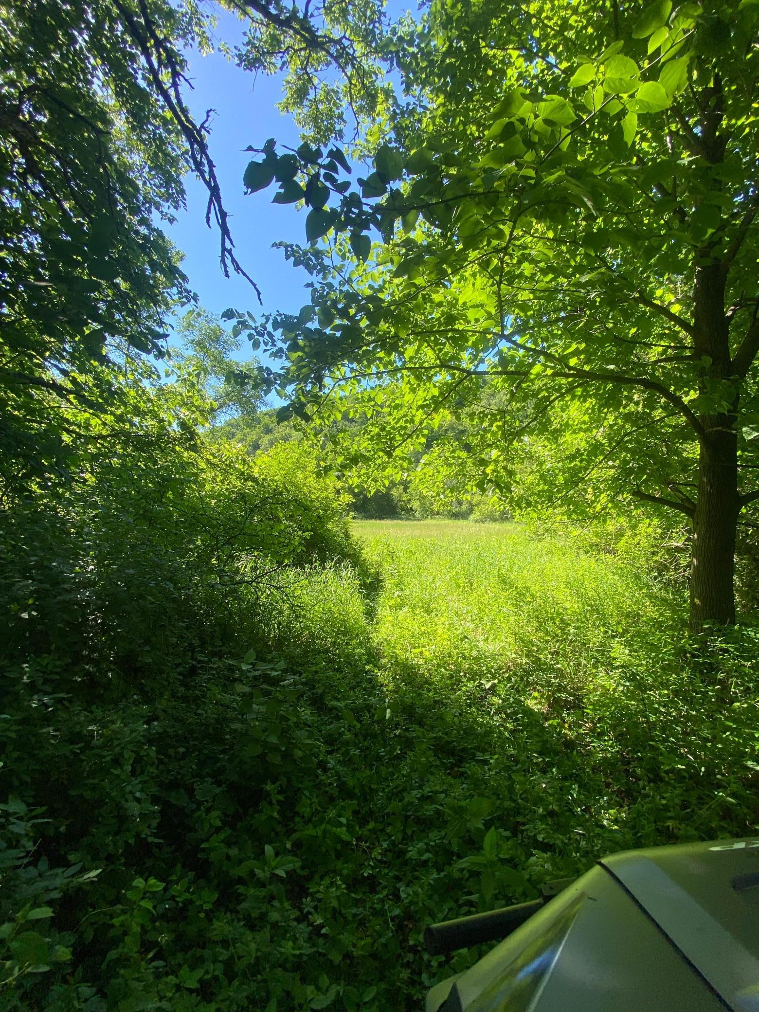 27333 Deep River Road Lanesboro, MN 55949 - Photo 27 of 71