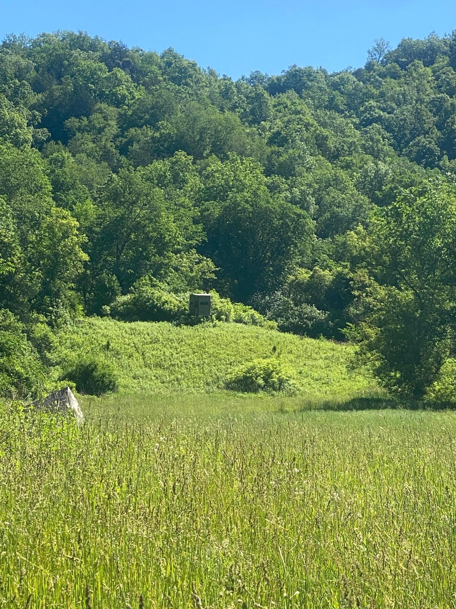 27333 Deep River Road Lanesboro, MN 55949 - Photo 28 of 71