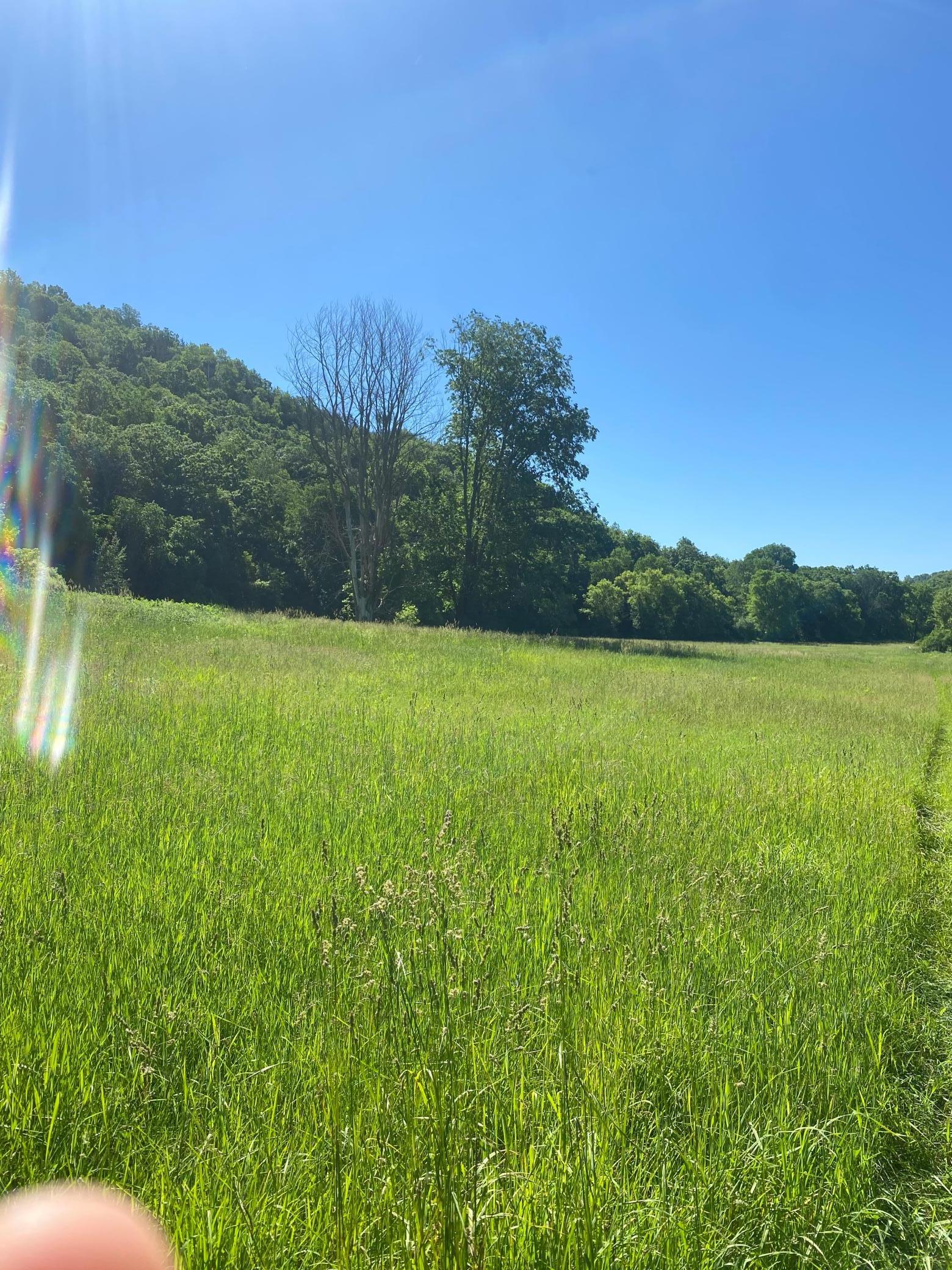 27333 Deep River Road Lanesboro, MN 55949 - Photo 30 of 71