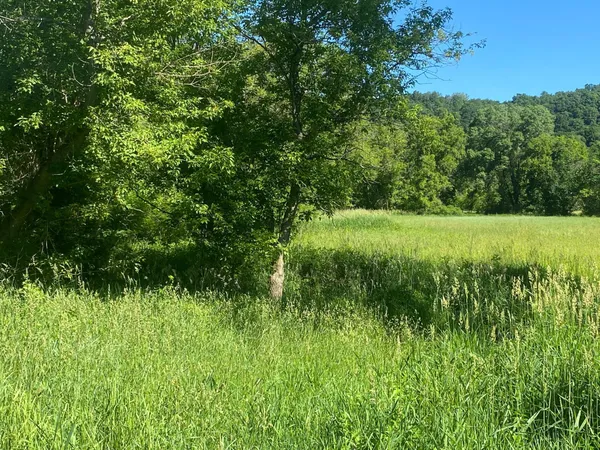 $9,990,000 | 27333 Deep River Road, Lanesboro, MN 55949