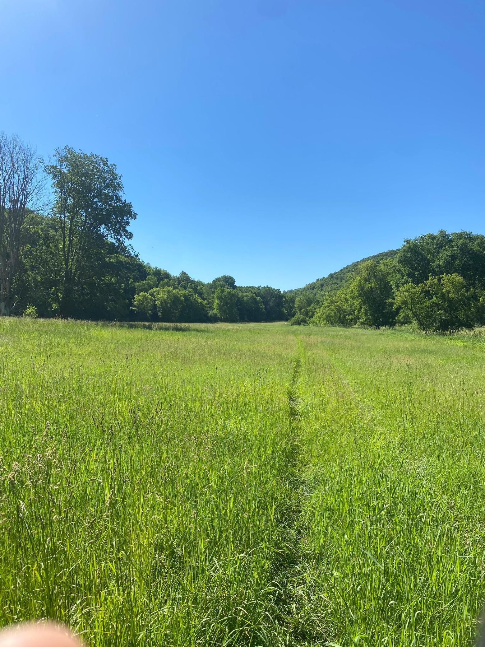 27333 Deep River Road Lanesboro, MN 55949 - Photo 31 of 71