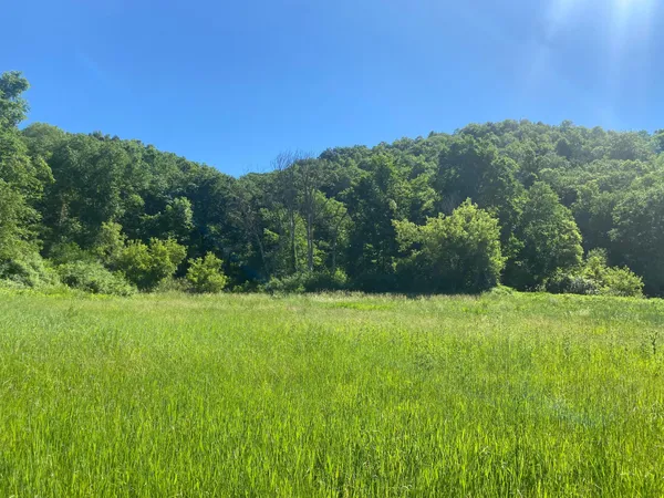 $9,990,000 | 27333 Deep River Road, Lanesboro, MN 55949