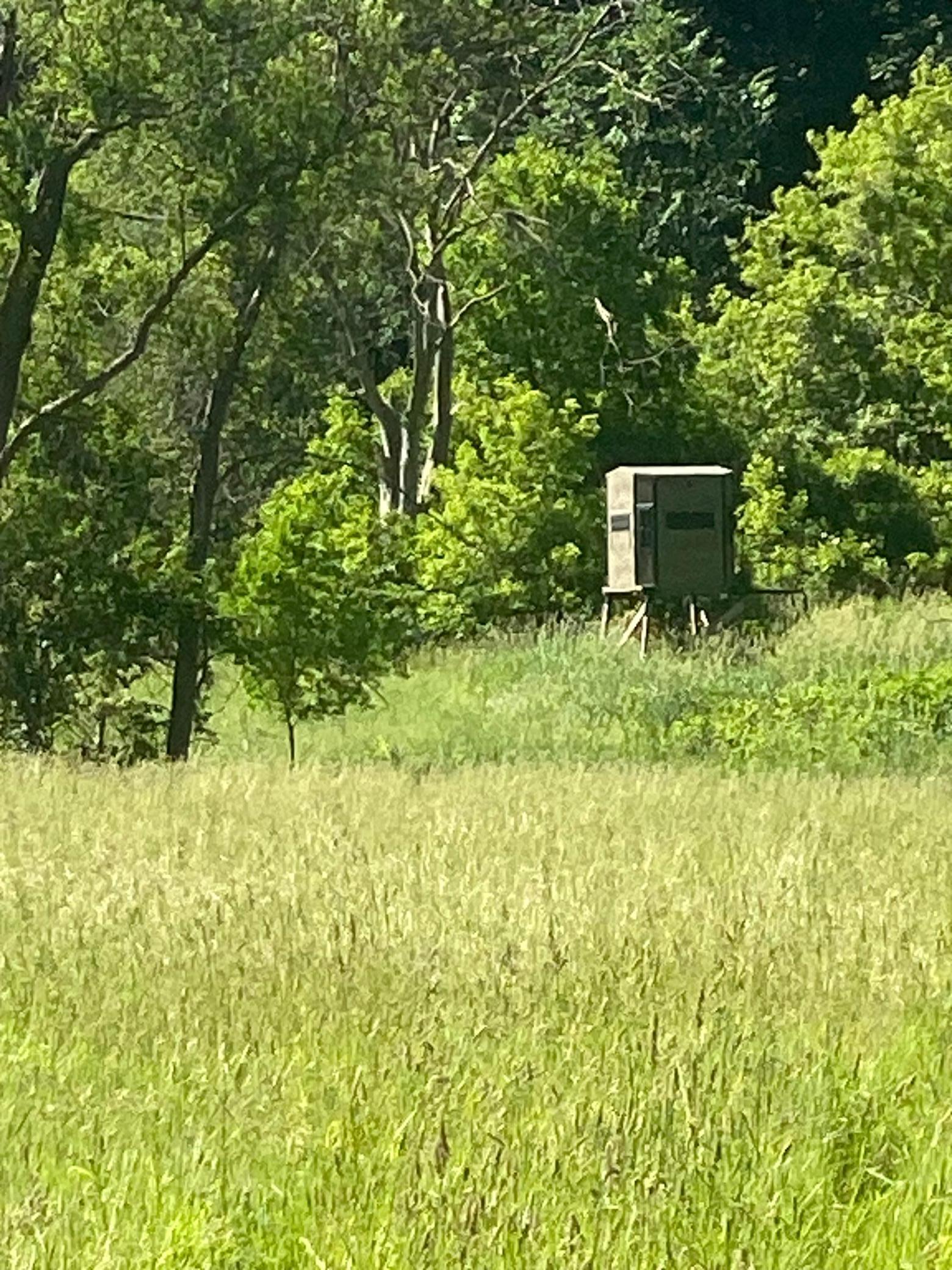 27333 Deep River Road Lanesboro, MN 55949 - Photo 35 of 71