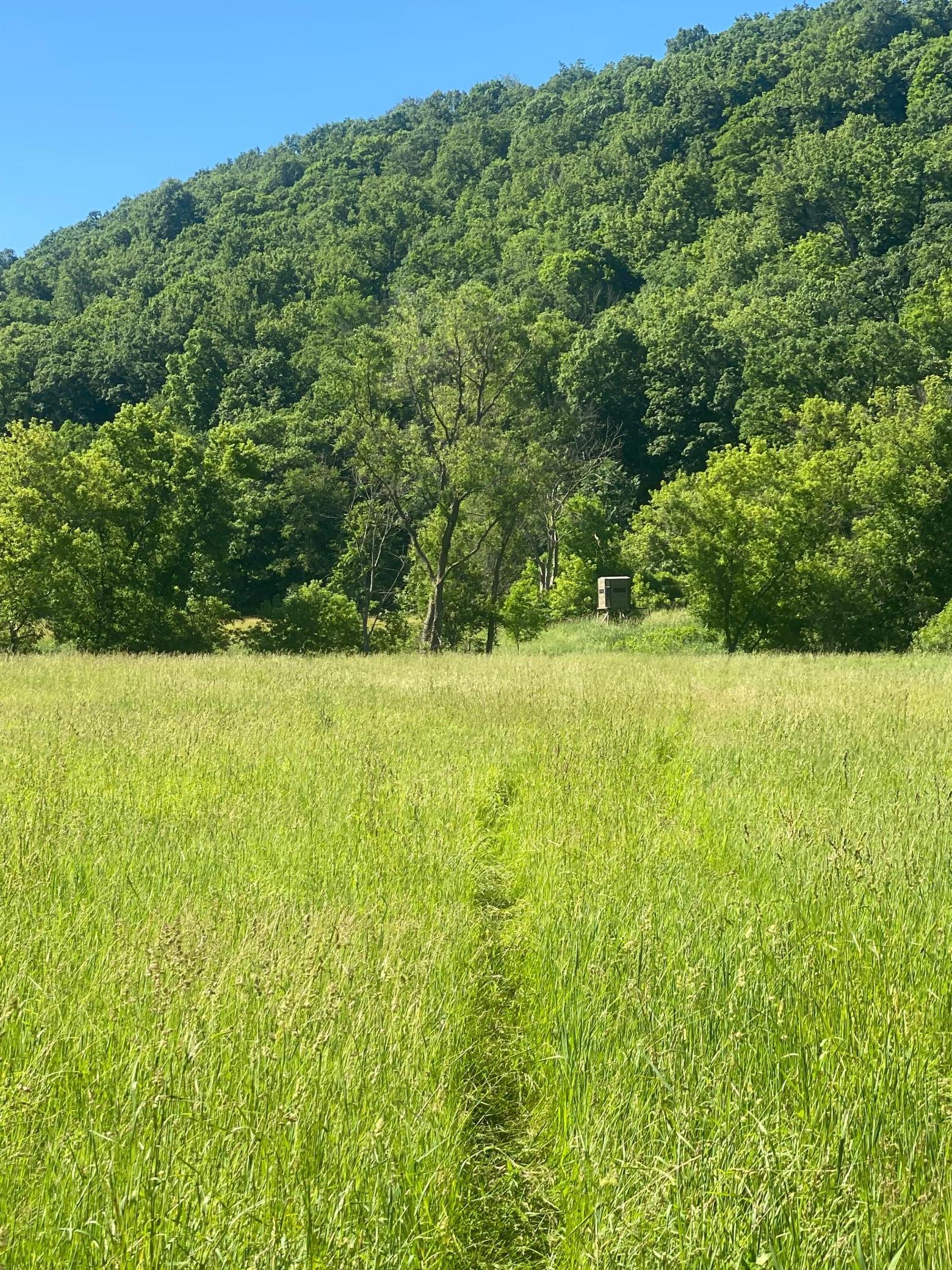 27333 Deep River Road Lanesboro, MN 55949 - Photo 36 of 71