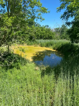 $9,990,000 | 27333 Deep River Road, Lanesboro, MN 55949