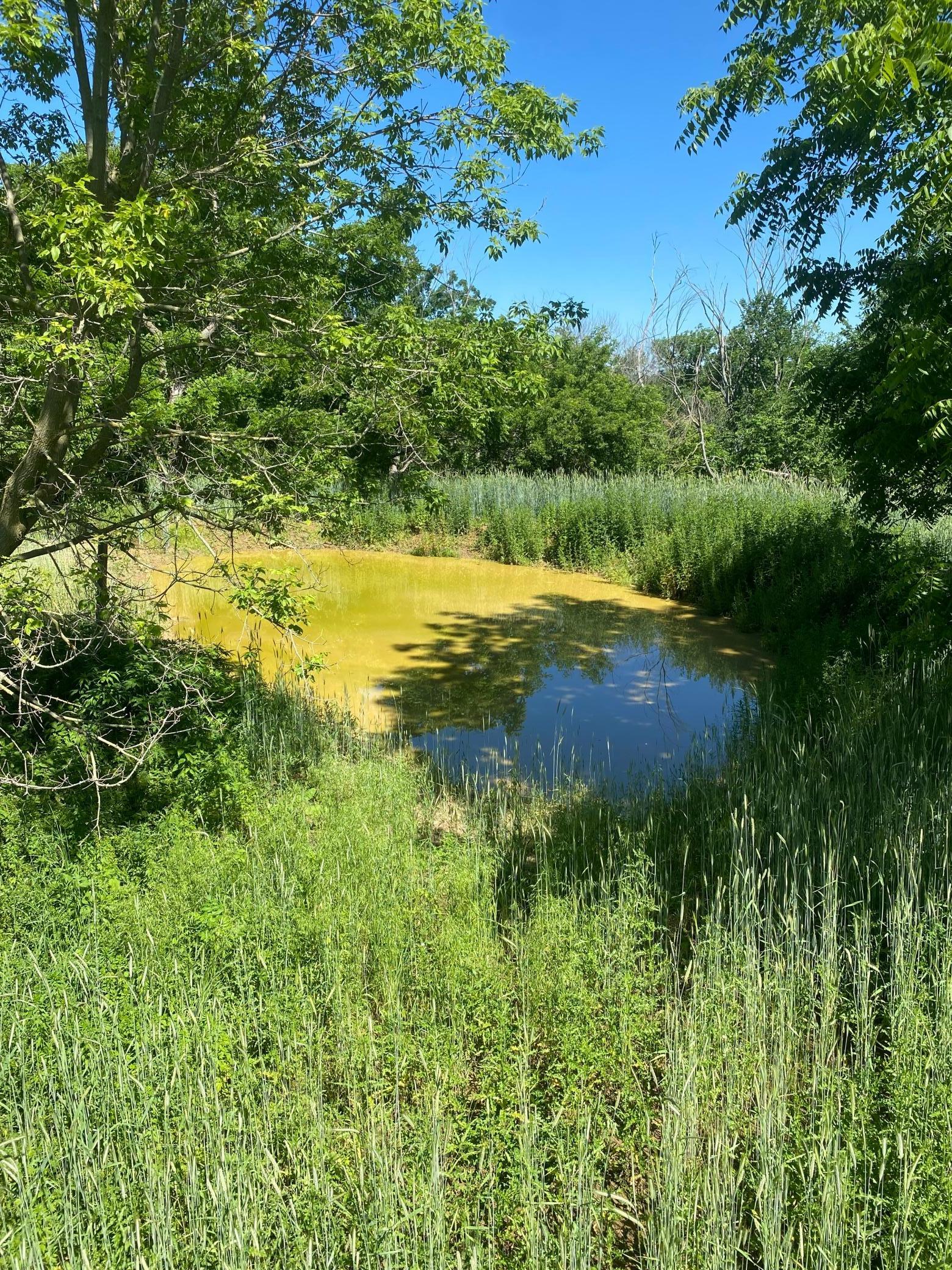 27333 Deep River Road Lanesboro, MN 55949 - Photo 38 of 71