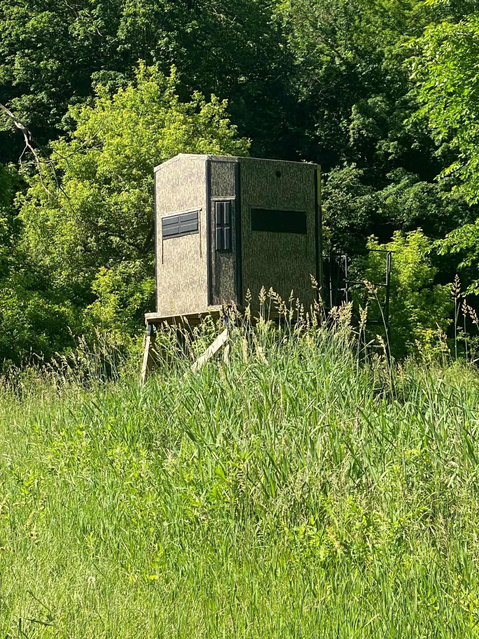 27333 Deep River Road Lanesboro, MN 55949 - Photo 4 of 71