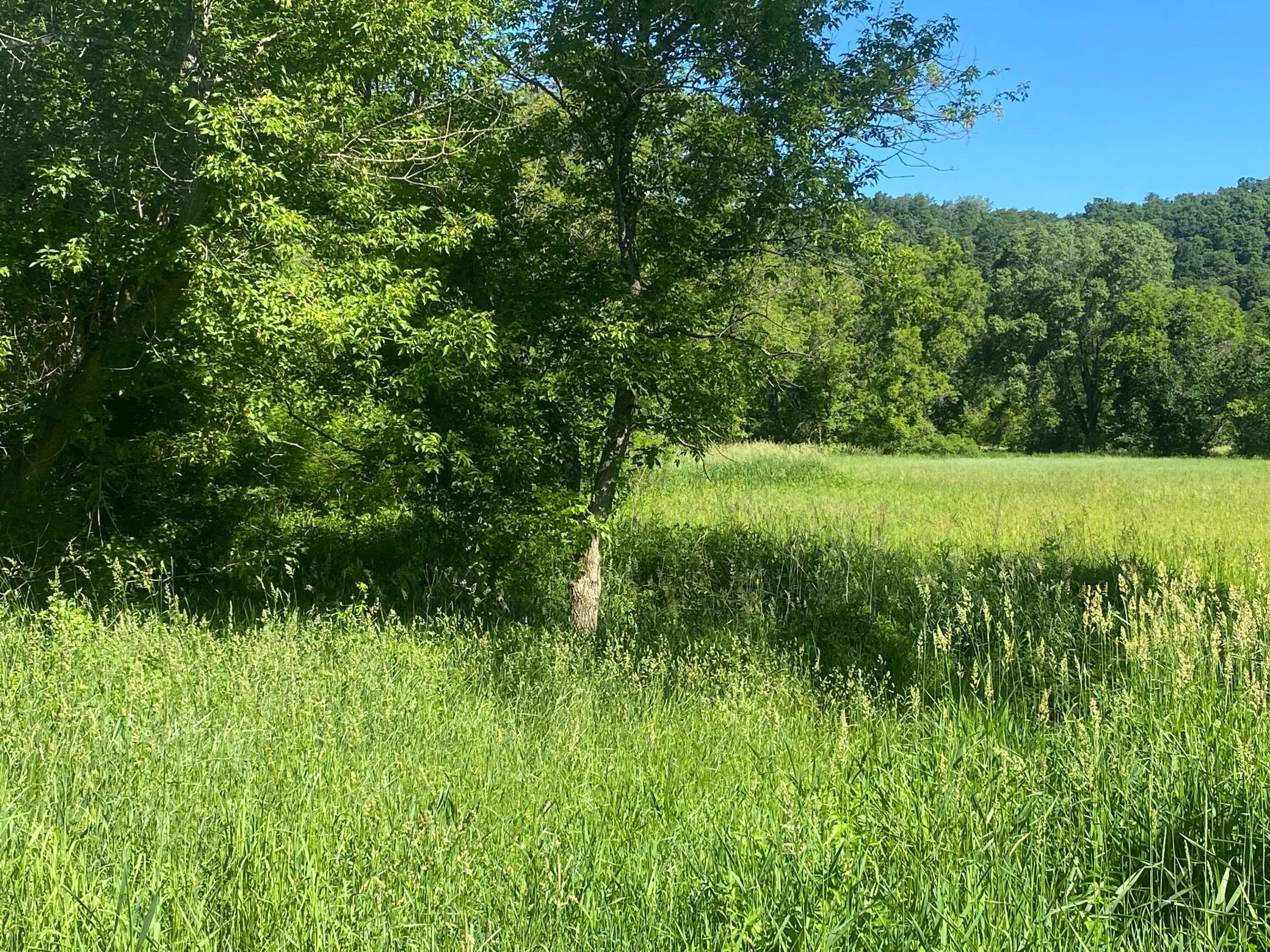 27333 Deep River Road Lanesboro, MN 55949 - Photo 4 of 90