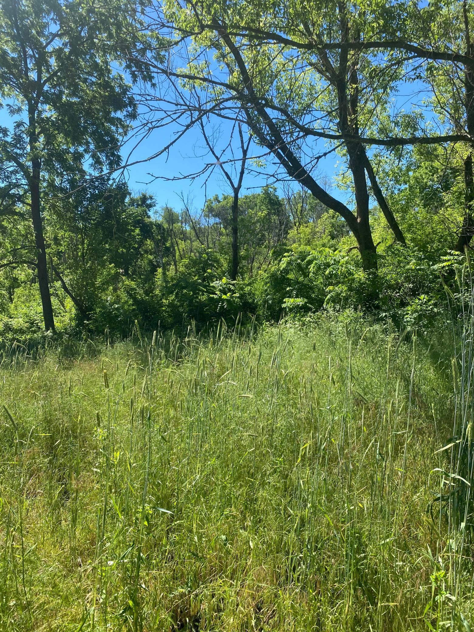 27333 Deep River Road Lanesboro, MN 55949 - Photo 41 of 90