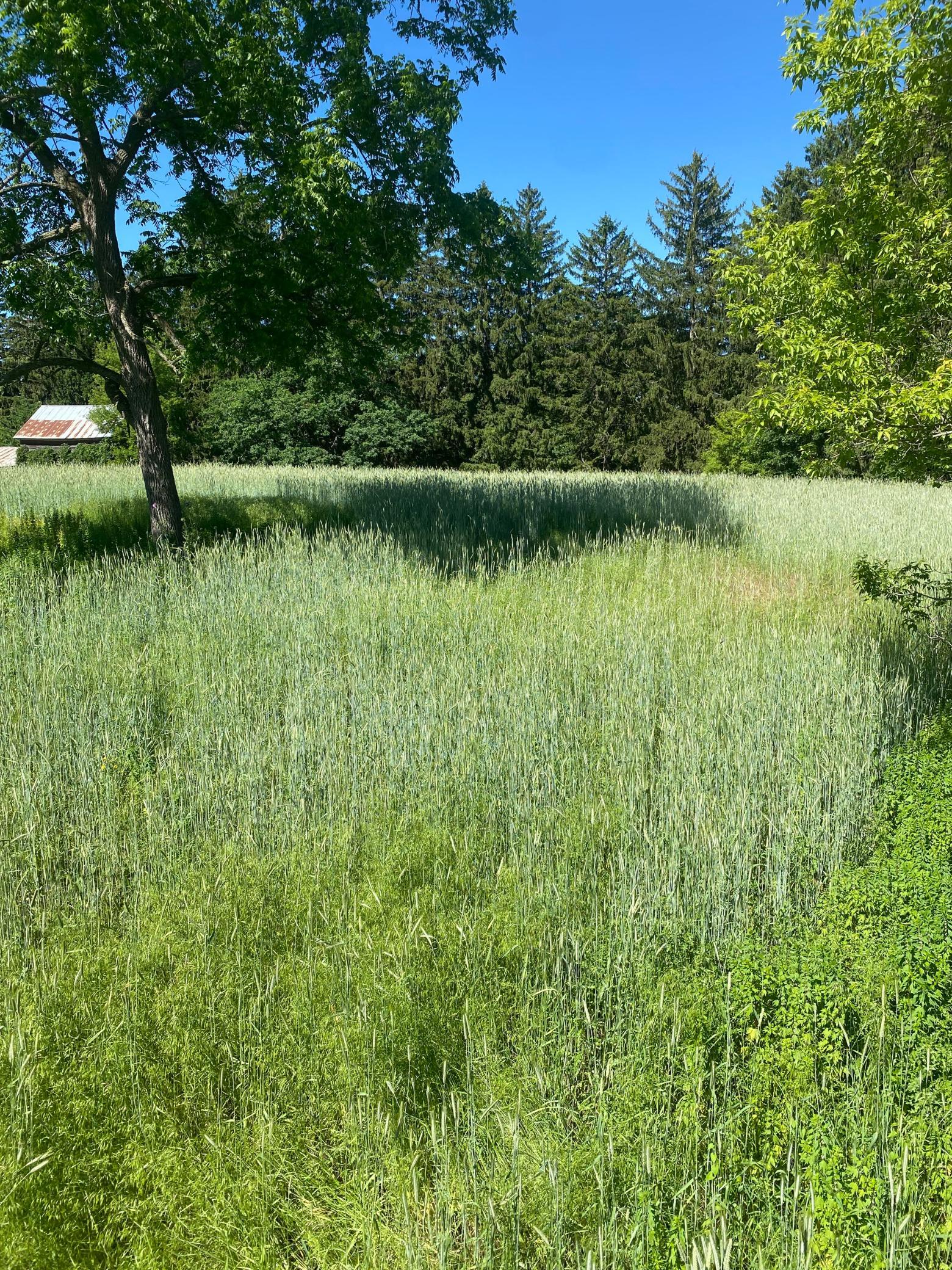 27333 Deep River Road Lanesboro, MN 55949 - Photo 43 of 90