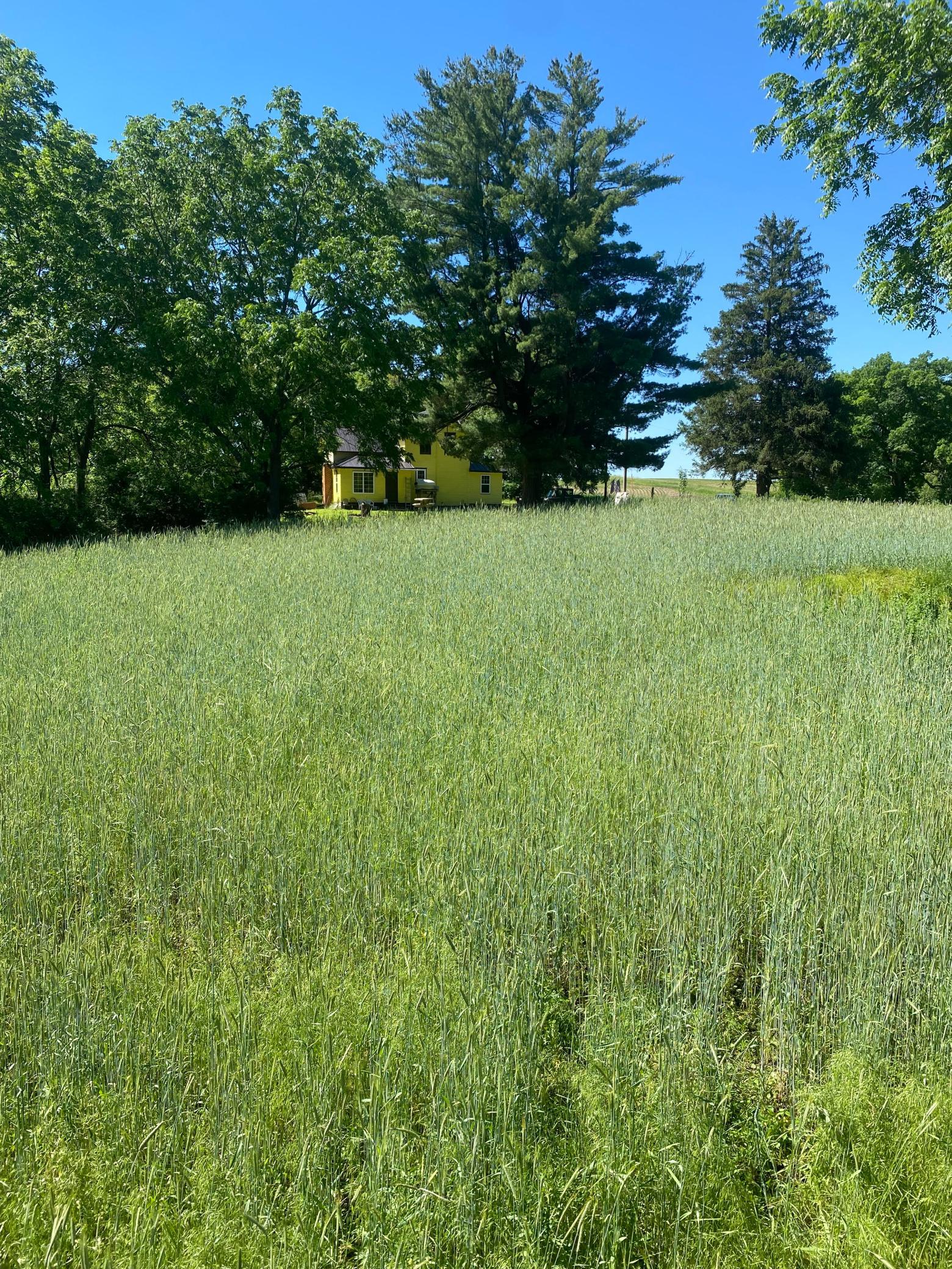 27333 Deep River Road Lanesboro, MN 55949 - Photo 45 of 90
