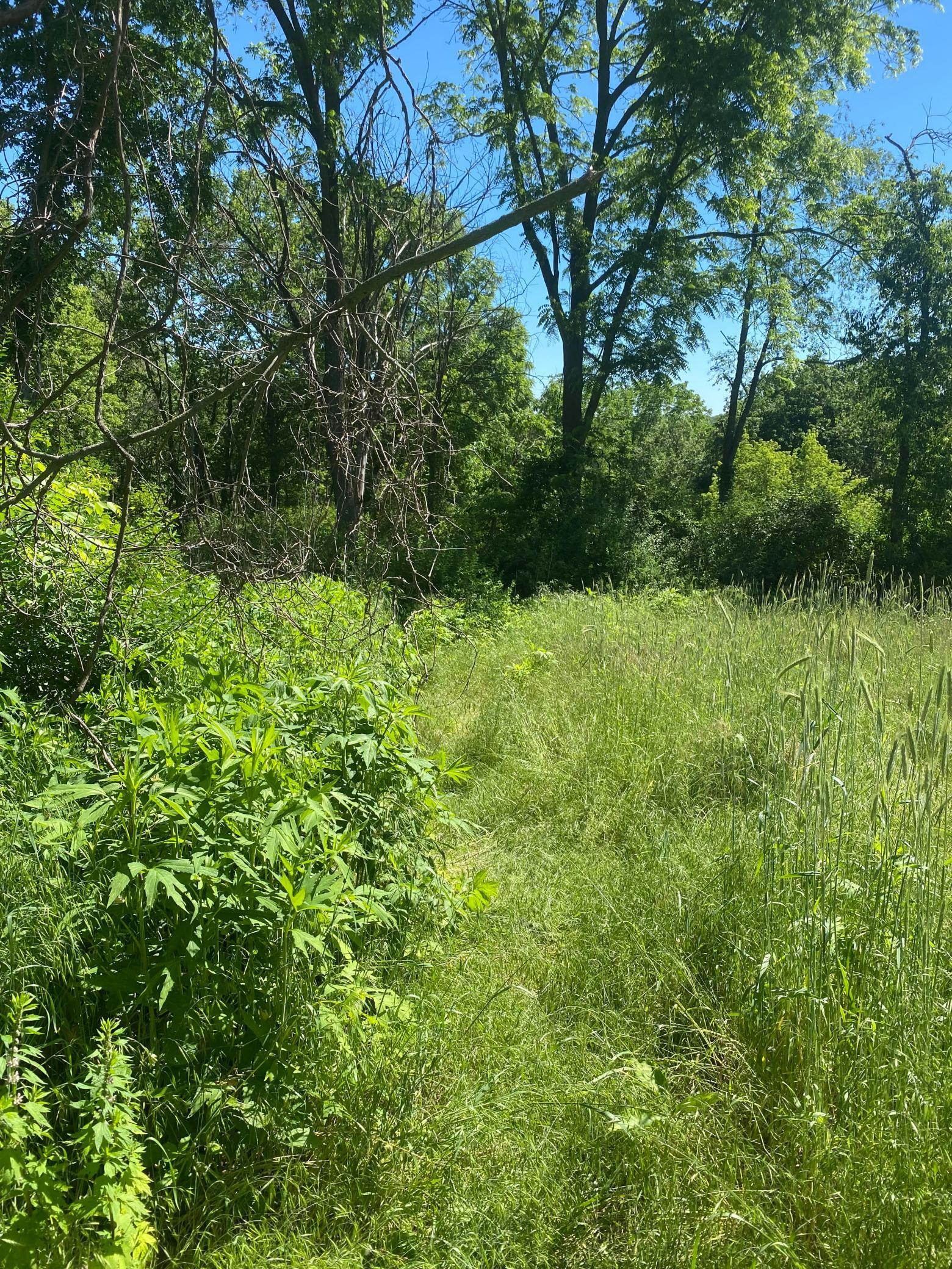 27333 Deep River Road Lanesboro, MN 55949 - Photo 45 of 71