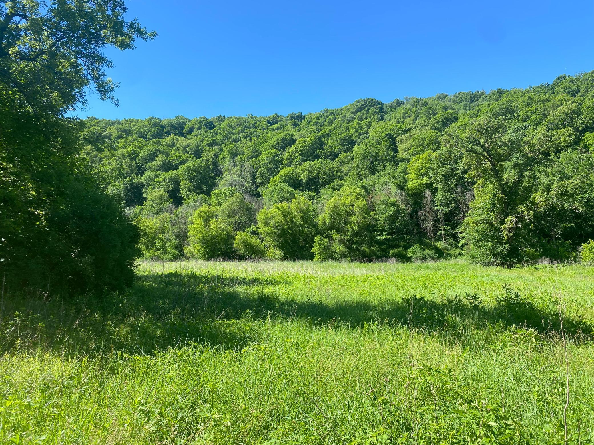 27333 Deep River Road Lanesboro, MN 55949 - Photo 47 of 90