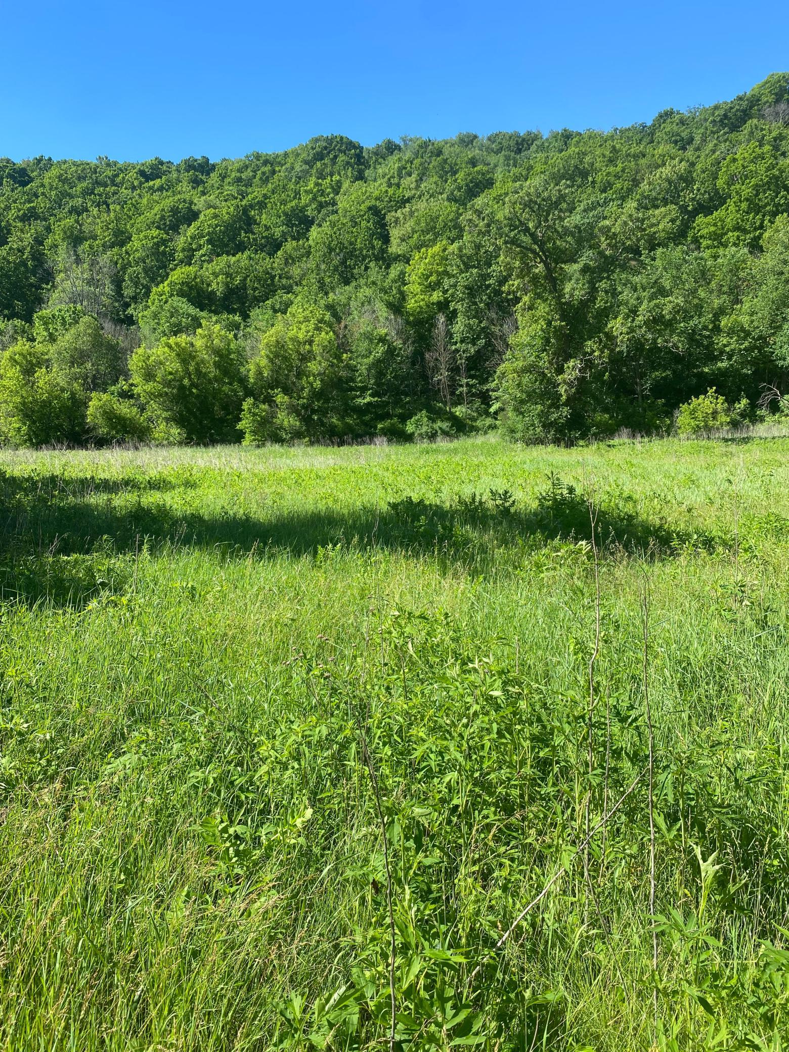 27333 Deep River Road Lanesboro, MN 55949 - Photo 48 of 90